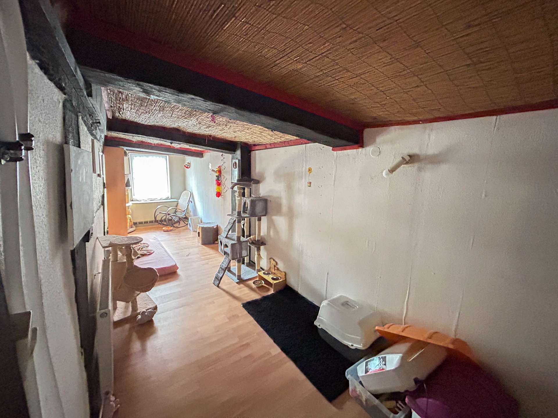 Zimmer OG